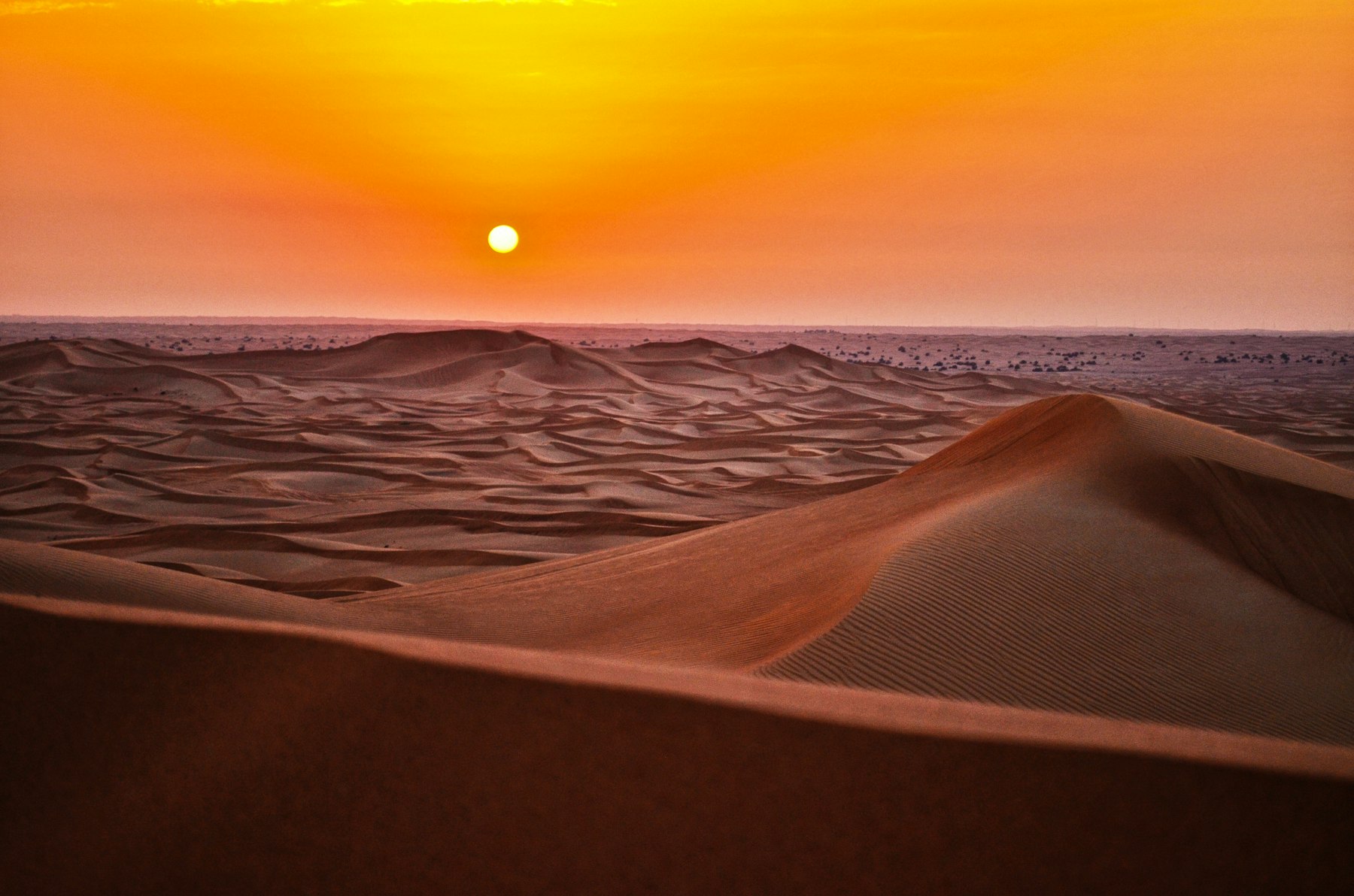 Desert dunes under a low sun